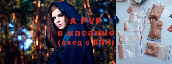 СК Горно-Алтайск