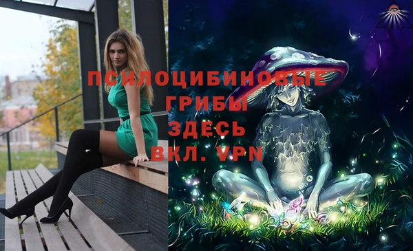 хмурый Горнозаводск