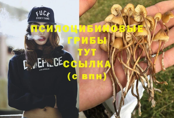 хмурый Горнозаводск