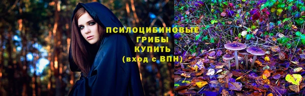 СК Горно-Алтайск